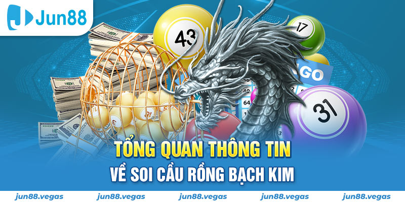 Tổng quan thông tin về soi cầu Rồng Bạch Kim